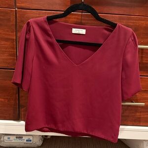 Babaton Deep Red V-Neck Blouse